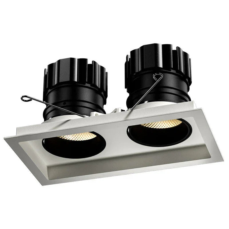 Orluna Look Twin Adjustable Downlight | All Square Lighting
