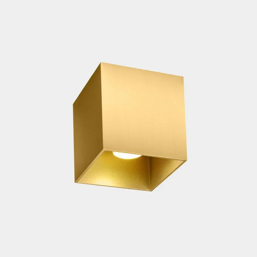 Wever & Ducré Box 1.0 GU10 Ceiling Light | All Square Lighting