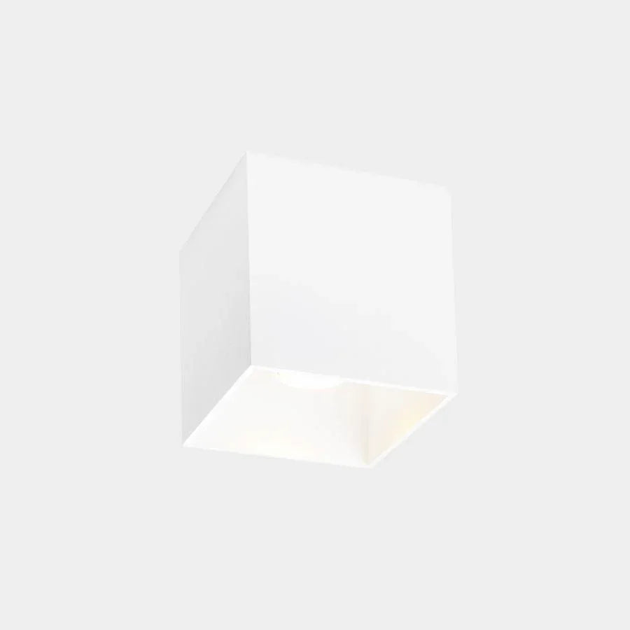 Wever & Ducré Box 1.0 GU10 Ceiling Light | All Square Lighting