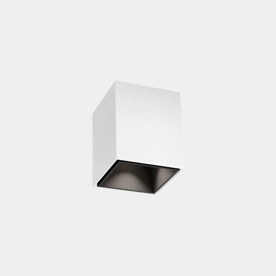 Wever & Ducré Box Mini 1.0 LED Ceiling Light | All Square Lighting