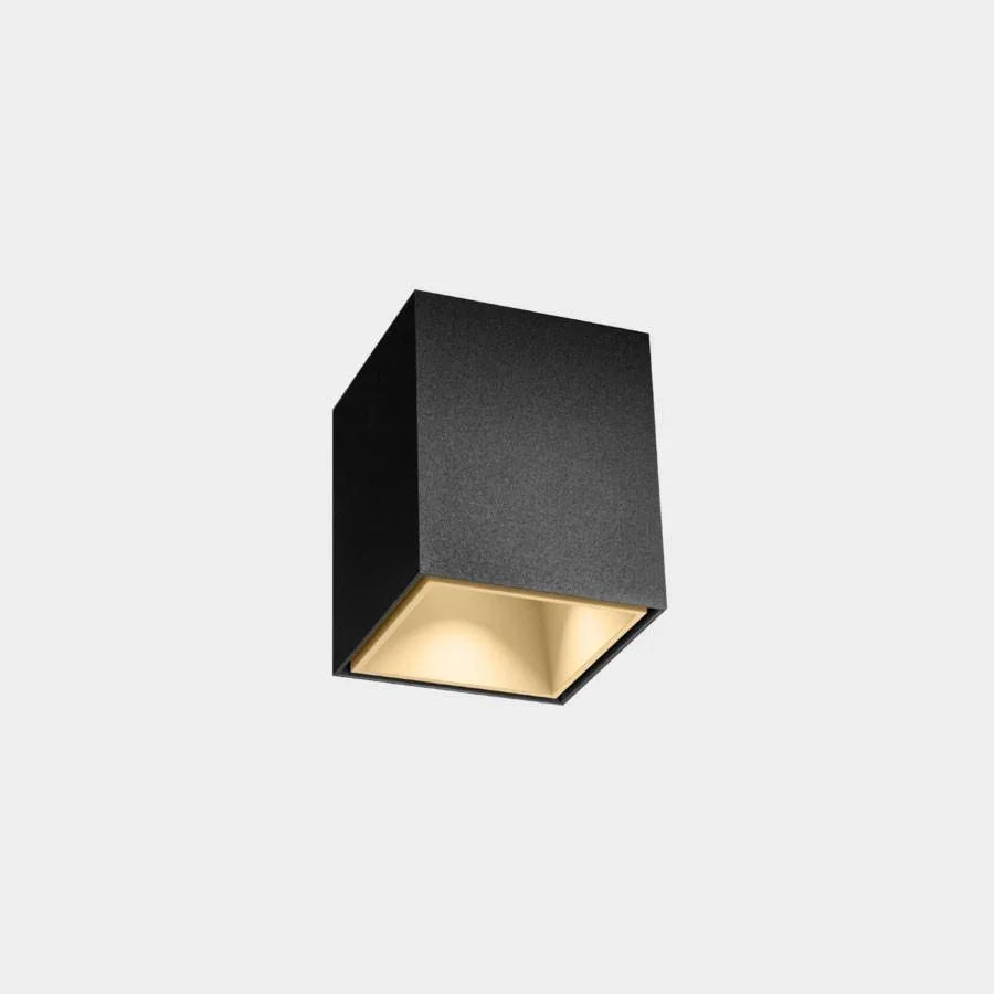 Wever & Ducré Box Mini 1.0 LED Ceiling Light | All Square Lighting