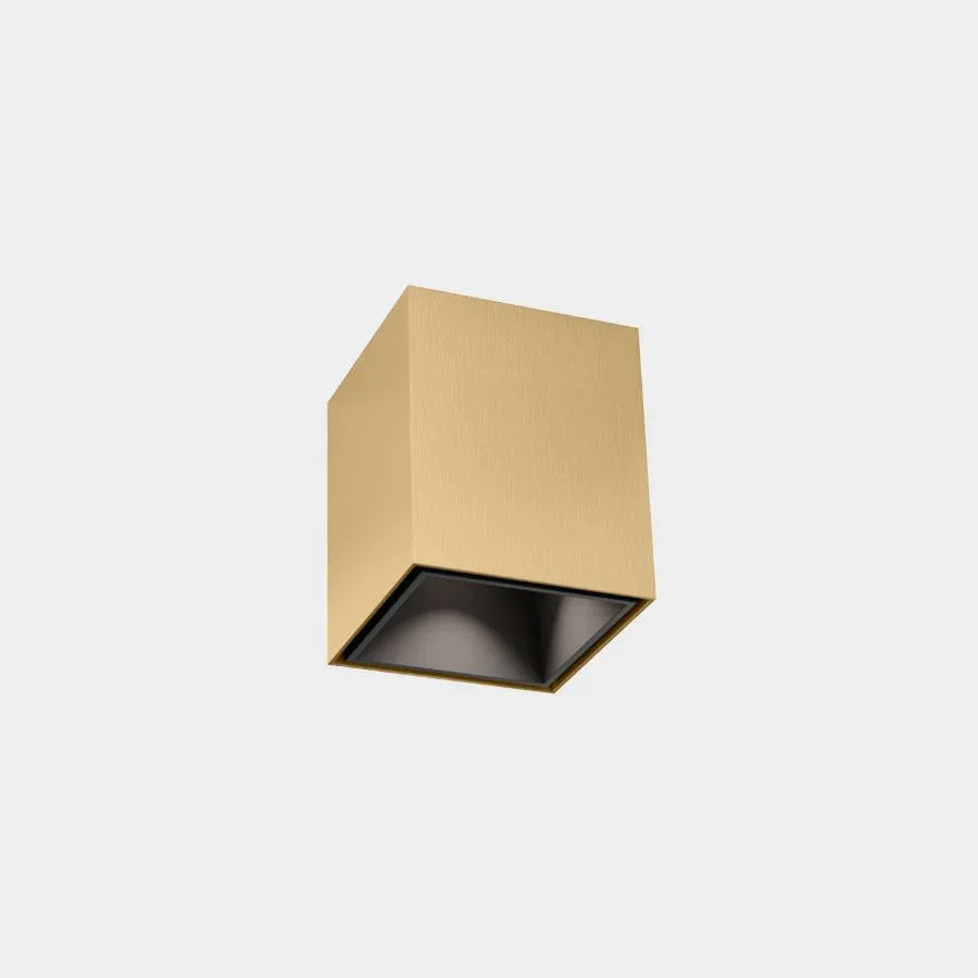 Wever & Ducré Box Mini 1.0 LED Ceiling Light | All Square Lighting