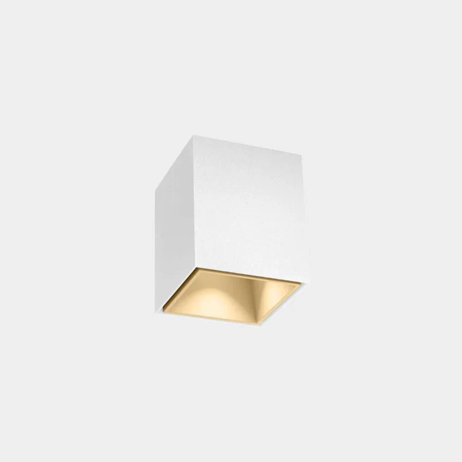 Wever & Ducré Box Mini 1.0 LED Ceiling Light | All Square Lighting