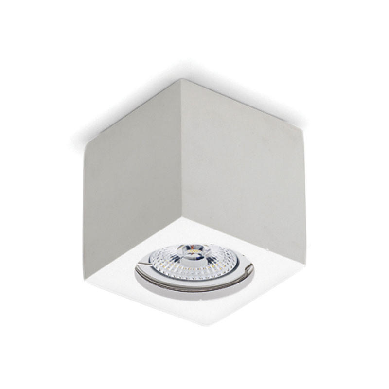 8899 Ceiling Light