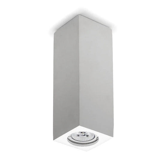 8911 Ceiling Light
