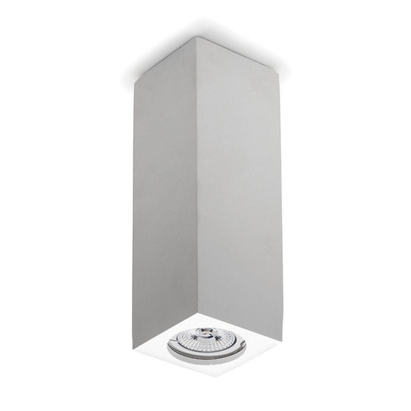 8911 Ceiling Light