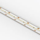 100% Light UK Eco 10 High Density Led Strip | All Square Lighting