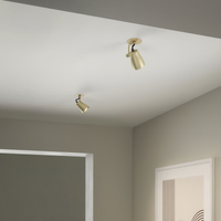Juno Recessed Spotlight