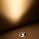 LD151 Uplight
