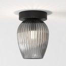 Tacoma Surface Ceiling Light