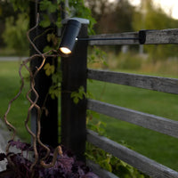Multi Portable Table Lamp