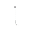 Reed 60 Spike Light