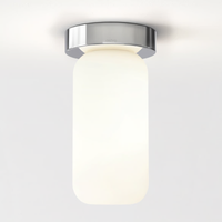 Tacoma Surface Ceiling Light