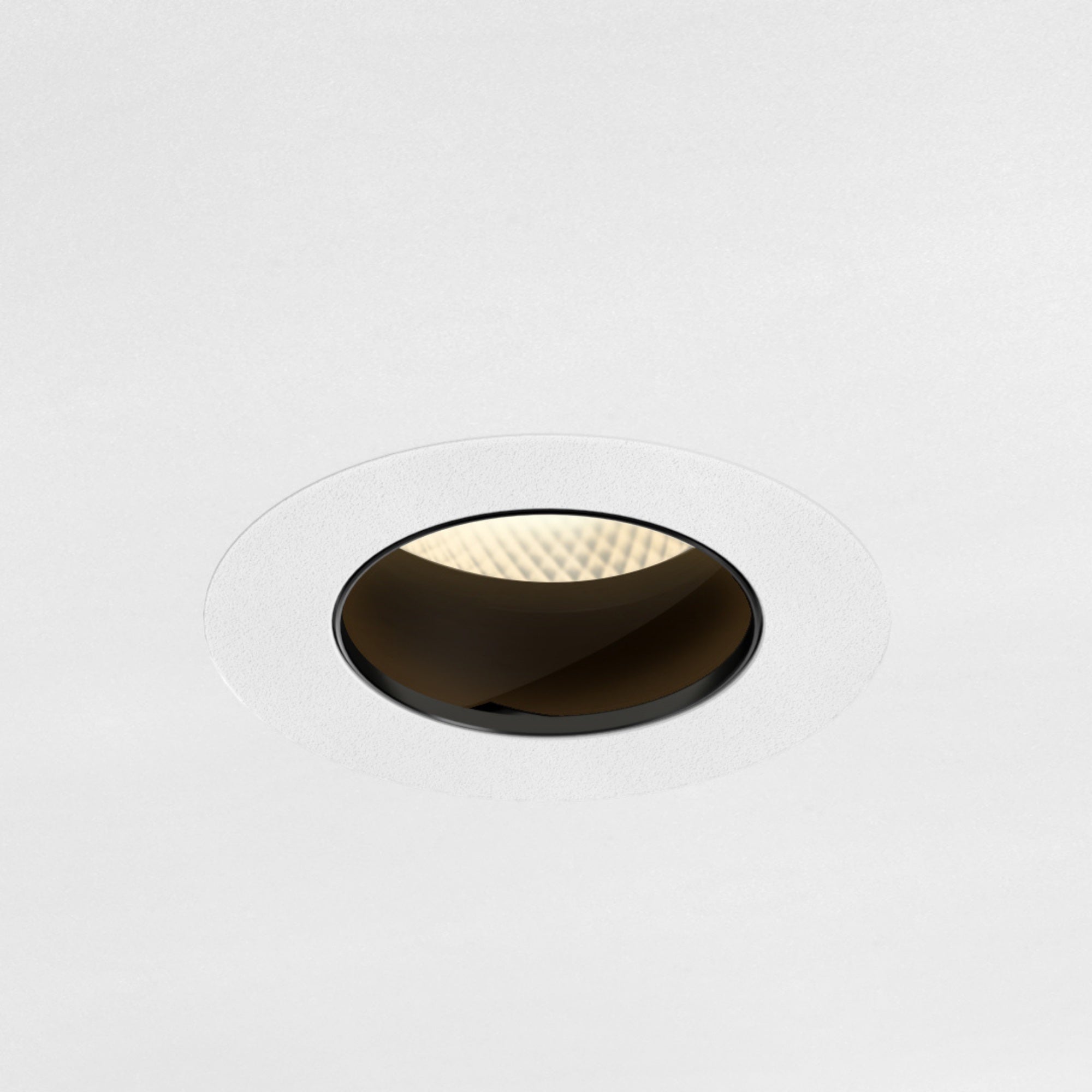 True Mini Adjustable Downlight