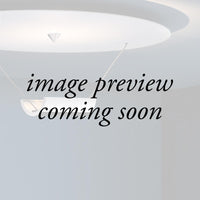 Catellani & Smith DiscO Ceiling Light | All Square Lighting