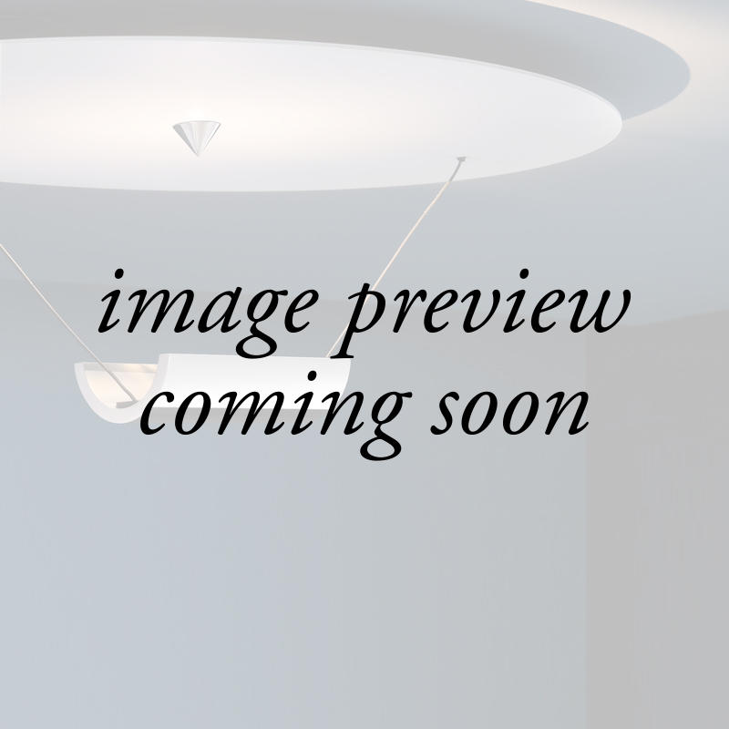 Catellani & Smith DiscO Ceiling Light | All Square Lighting
