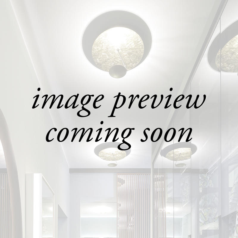 Catellani & Smith Lederam Ceiling Light | All Square Lighting