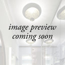Catellani & Smith Lederam Ceiling Light | All Square Lighting