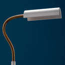 Catellani & Smith U.F Flex Floor Lamp | All Square Lighting