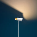 Catellani & Smith U.F Up Floor Lamp | All Square Lighting