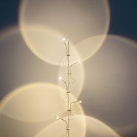 Catellani & Smith Wa Wa Floor Lamp | All Square Lighting