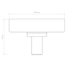 Tacoma Surface Ceiling Light
