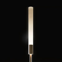 Reed 30 Spike Light
