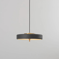 Bert Frank Revolve Pendant Light | All Square Lighting