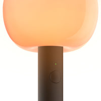 Fire Portable Table Lamp