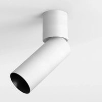 Cloud Intergrated Adjustable Spotlight