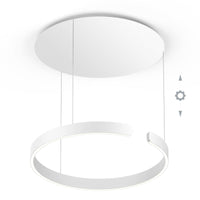 Occhio Mito Sospeso Move 60 Pendant Light | All Square Lighting