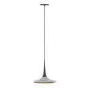 Grau Faling Leaf Recessed Pendant Light | All Square Lighting
