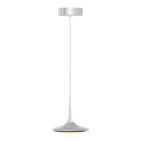 Grau Faling Leaf Surface Pendant Light | All Square Lighting