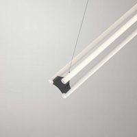 Lia Diagonal 100 Pendant Light