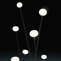 Reed 30 Spike Light