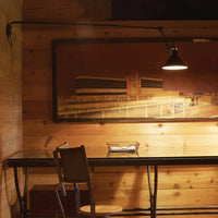 N°213 Plug Switch & Cable Wall Light