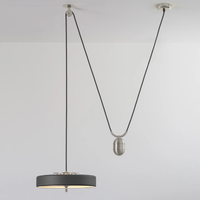 Bert Frank Revolve Rise & Fall Pendant Light | All Square Lighting