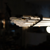 Seagull Pendant Light