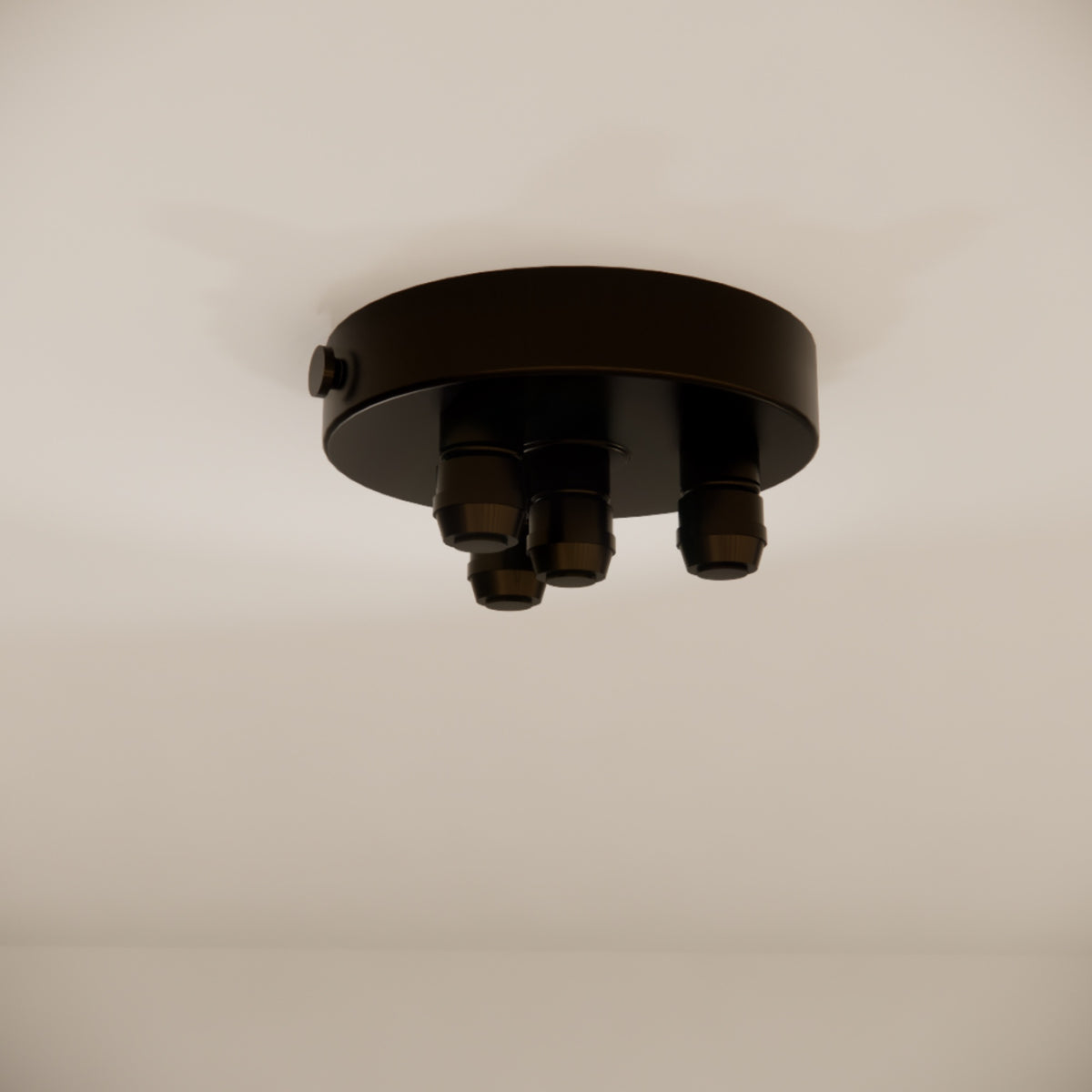 Pulo Box X4 Grip Ceiling Rose