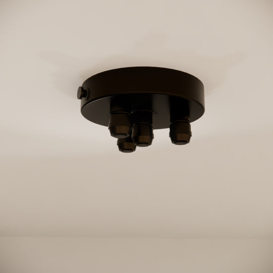 Pulo Box X4 Grip Ceiling Rose