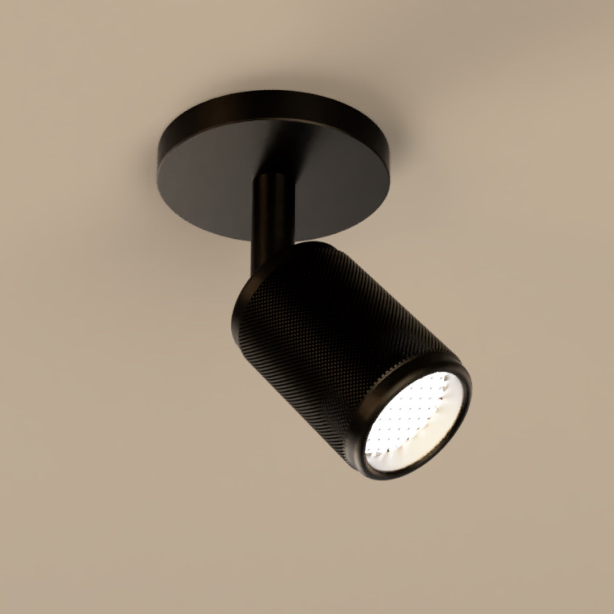 Lichelle K Proud Extended 57 7010 Spotlight