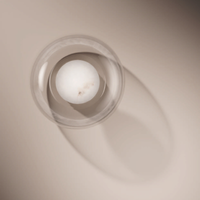 Fuji Alabaster Wall Light