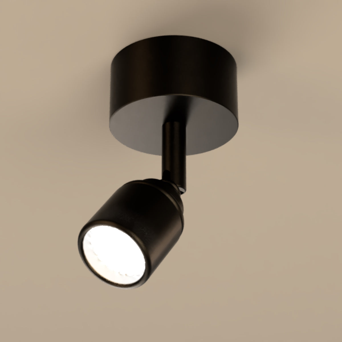 Lichelle P Proud Surface 7046 Spotlight