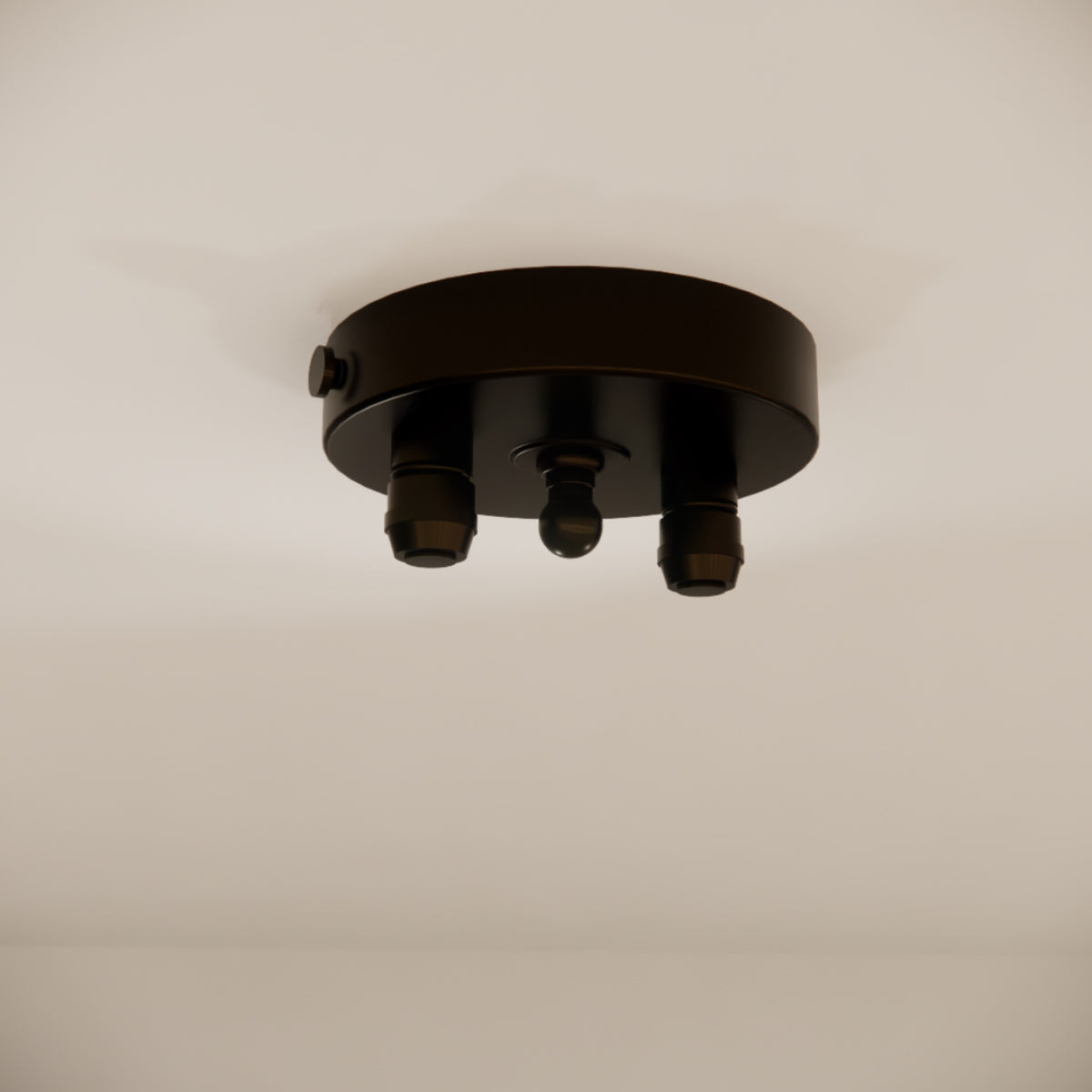 Pulo Box X2 Grip Ceiling Rose