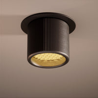 Lichelle L Raised 46 5400 Spotlight