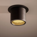 Lichelle P Raised 46 5400 Spotlight