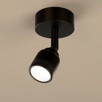 Lichelle L Proud Surface 7026 Spotlight