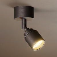 Lichelle P Proud Surface 5426 Spotlight