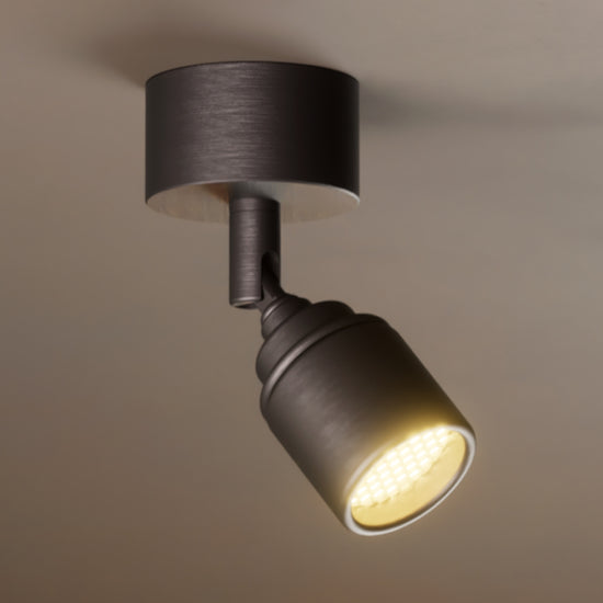 Lichelle P Proud Surface 5426 Spotlight