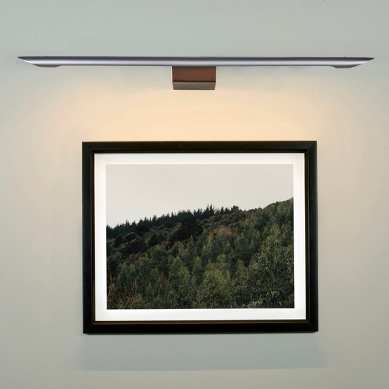 Eliana Picture Light